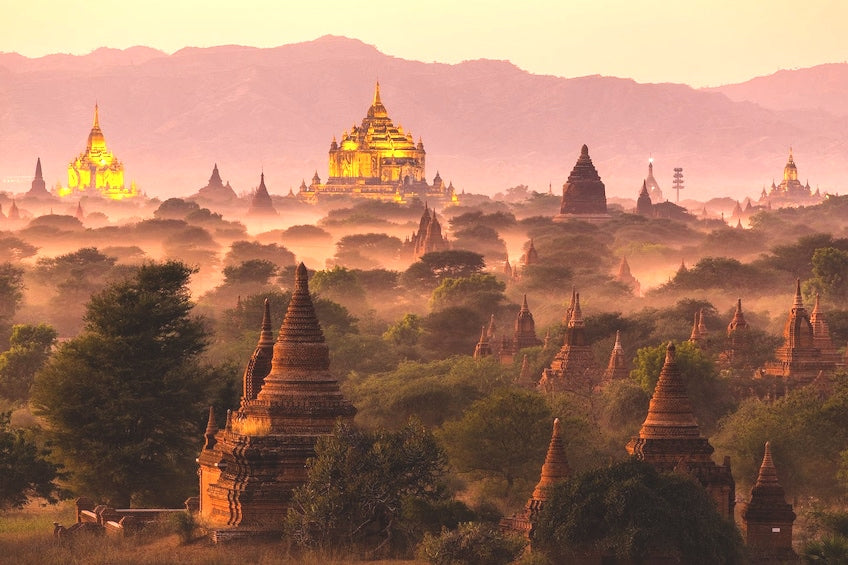 Bagan Myanmar🌲🌲Forest of Temples...