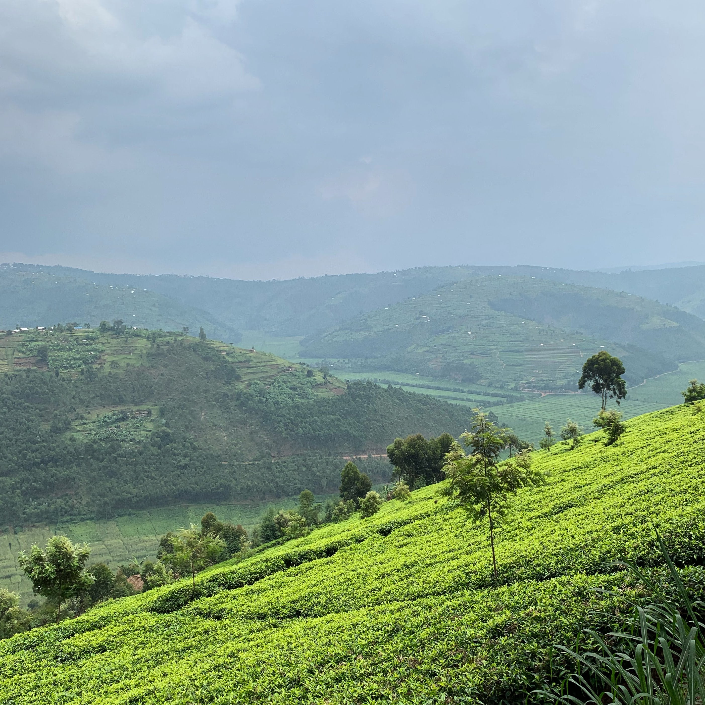 Rwanda Tote (by Samuel Powers)